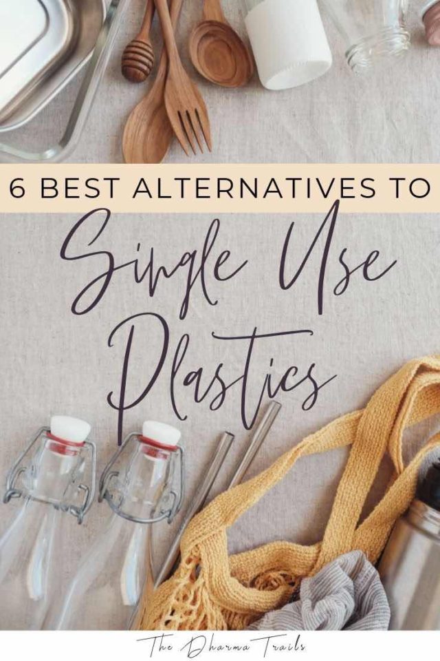 6 Best Alternatives To Single Use Plastics