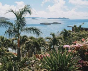 5 star house sitting in US Virgin Islands