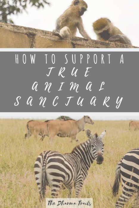 Zebras and monkeys in Madagascar sanctuary with text overlay