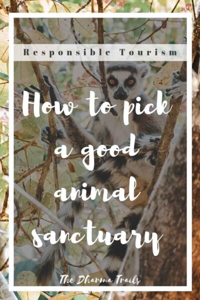 Responsible Tourism. How To Pick A Good Sanctuary 2 