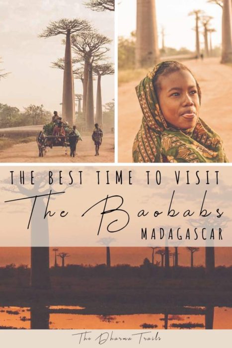 sunrise at baobab alley in Madagascar with text overlay