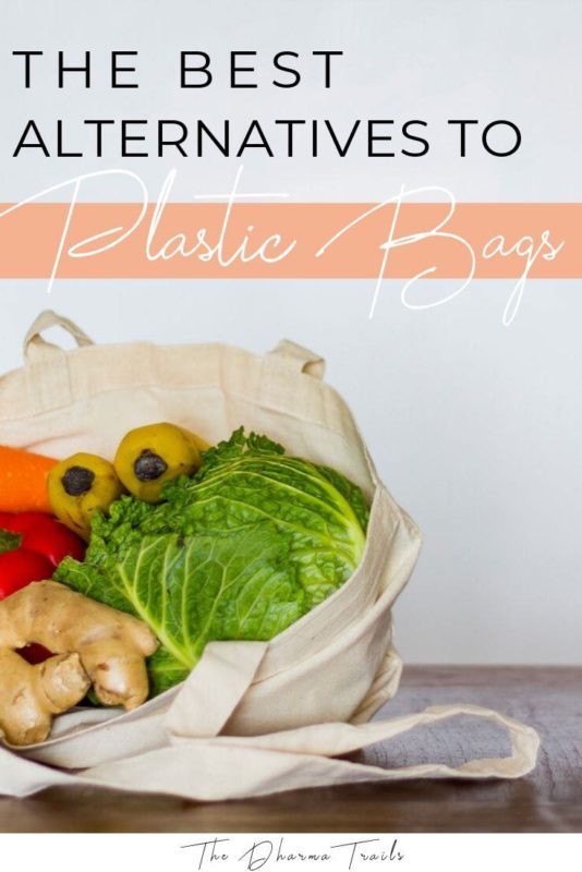 reusable bag with text overlay the best alternatives to plastic bags