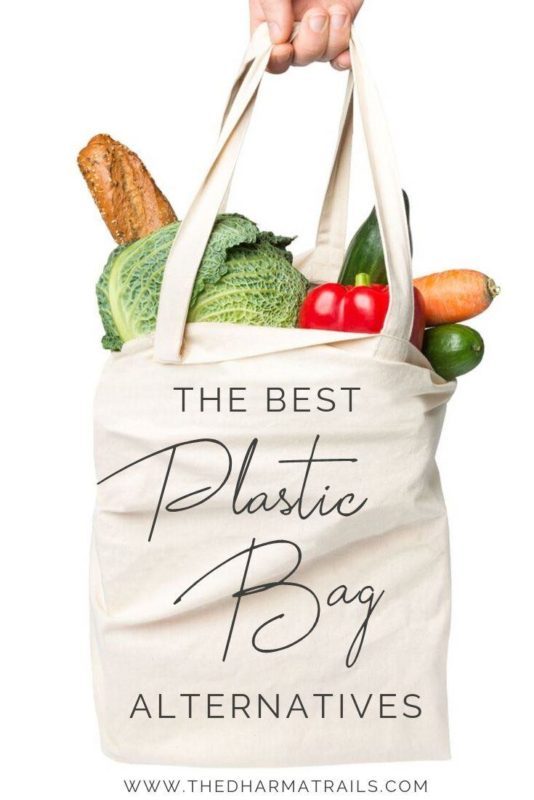 reusable bag with text overlay the best plastic bag alternatives