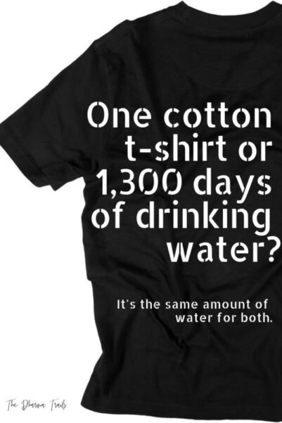 image of a tshirt with save water slogan text overlay "one cotton t-shirt or 1300 days of drinking water? It's the same amount of water for both."
