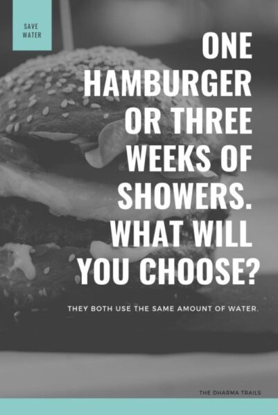 image of a hamburger with text slogan overlay "save water - one hamburger or three weeks of showers. what will you choose?"