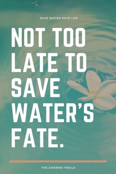 55 Best Quotes and Slogans On Saving Water (With Images) | 2023