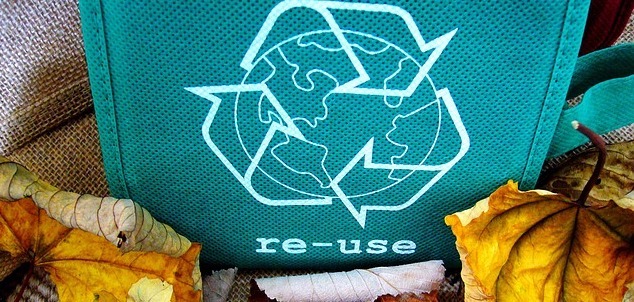 green reusable bag