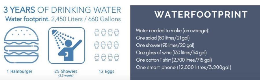 Save Water Save Earth infographic