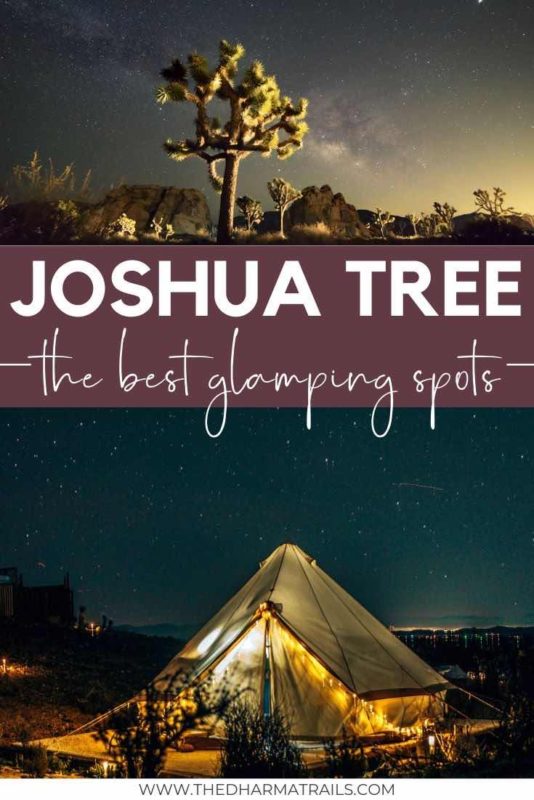 joshua tree yurt at night with starry sky