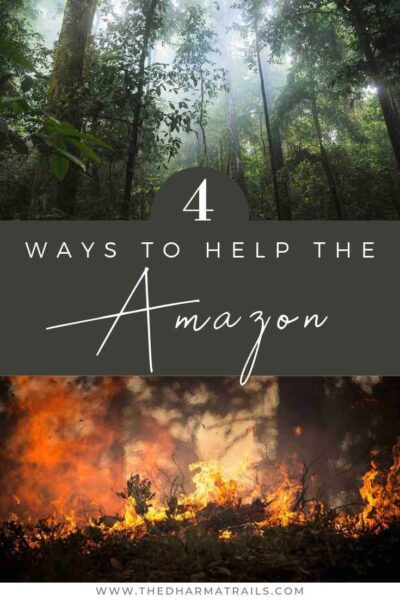  amazon rainforest burning with text overlay 4 ways to help
