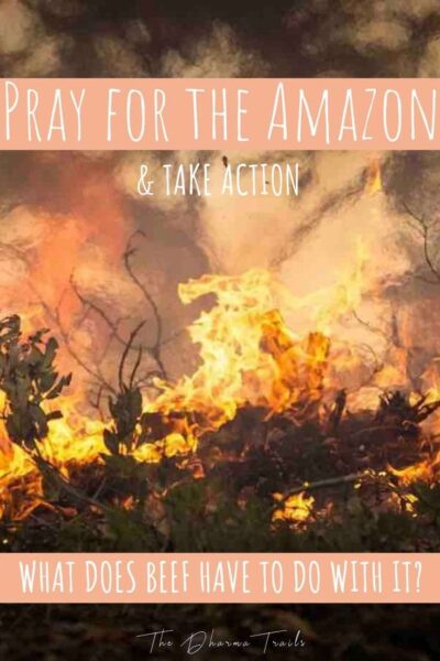  Amazon rainforest burning in flames with text overlay