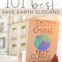 climate change protest with text overlay 101 best save earth slogans
