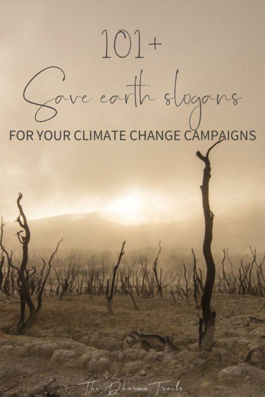 burnt forest with text overlay 101 save earth slogans for your climate change campaigns