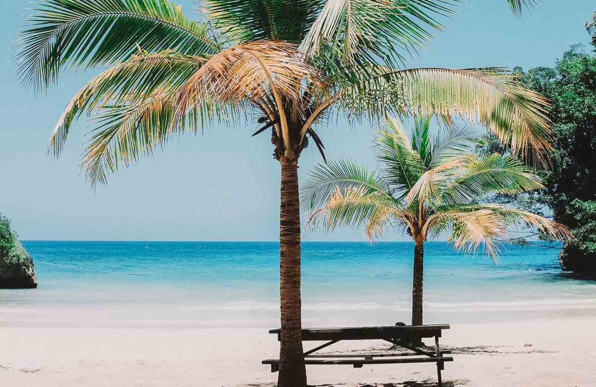 Palm Trees on a beautiful white sandy beach