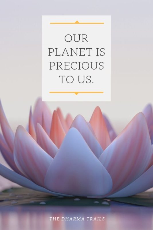 lotus flower with text overlay our planet is precious to us