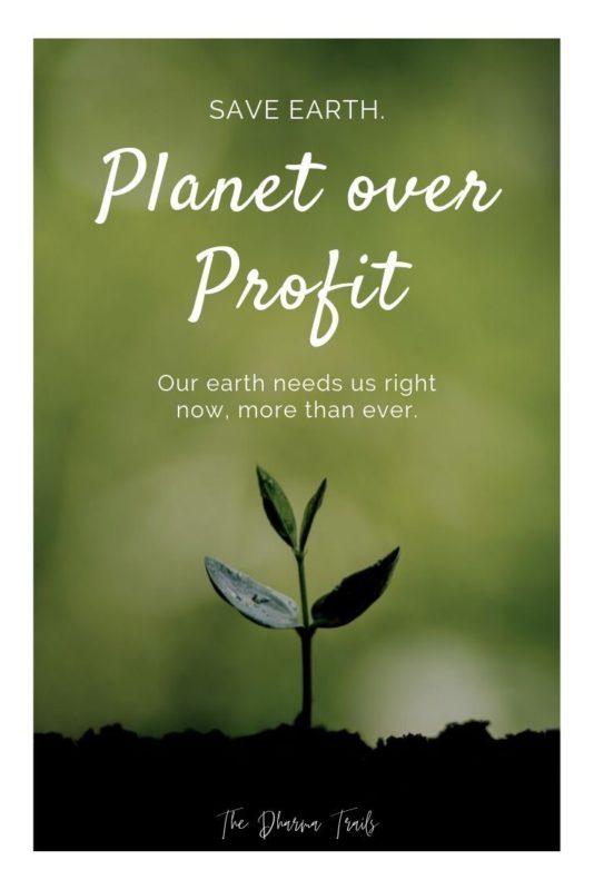 small plant growing with text overlay planet for profit
