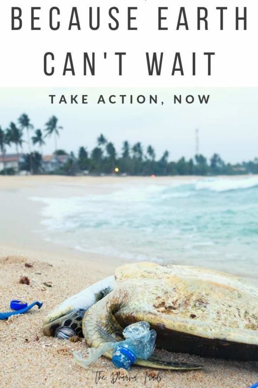 turtle and plastic on beach with text overlay because wealth can't wait take action now
