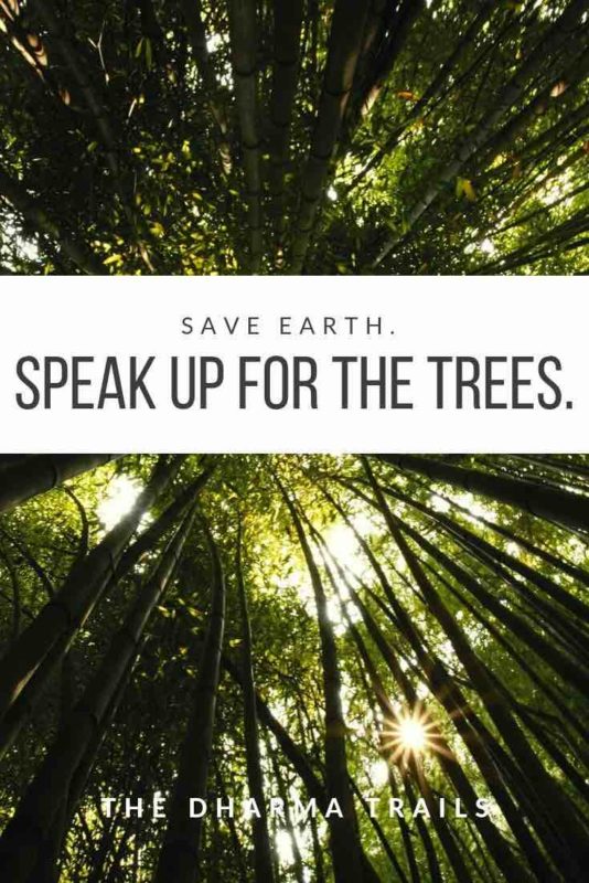 looking up at trees with text overlay save earth speak up for the trees