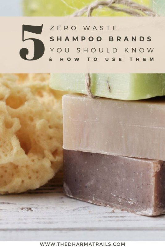 zero waste shampoo bars with loafer and text overlay 5 zero waste shampoo brands you should know