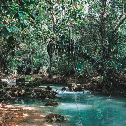 Visiting Blue Hole Jamaica (Island Gully Falls): The Insiders Guide | 2024