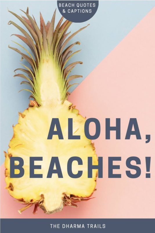 pineapple with text overlay beach quotes and captions