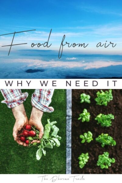 Food from air, why we need it