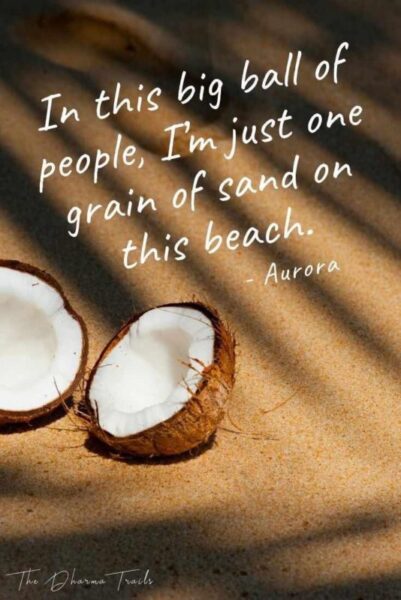 coconuts on the sand with text overlay in this big ball of people I'm just one grain of sand on this beach