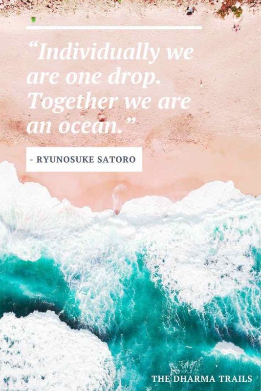 aerial view of beach with text overlay individually we are one drop. together we are an ocean