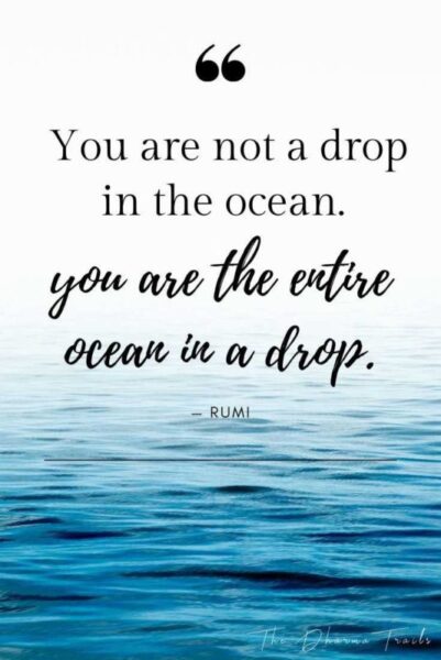 ocean with text overlay you are not a drop in the ocean. you are the entire ocean in a drop