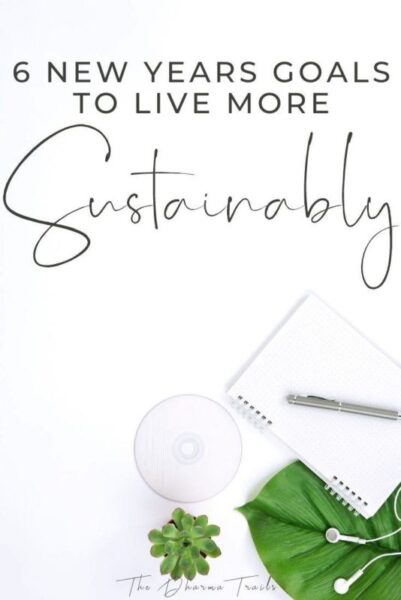 6 New years goals to live more sustainably
