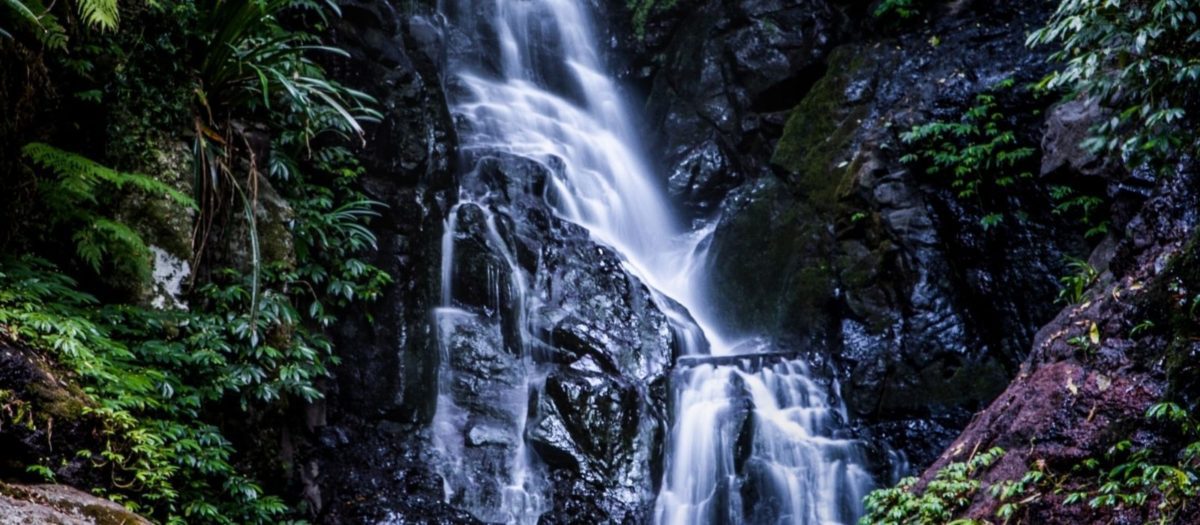 Gold Coast Waterfall Photo by Lochlainn Riordan on Unsplash