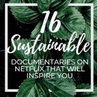 Leaves with text overlay 16 Sustainable Documentaries on netflix that will inspire you