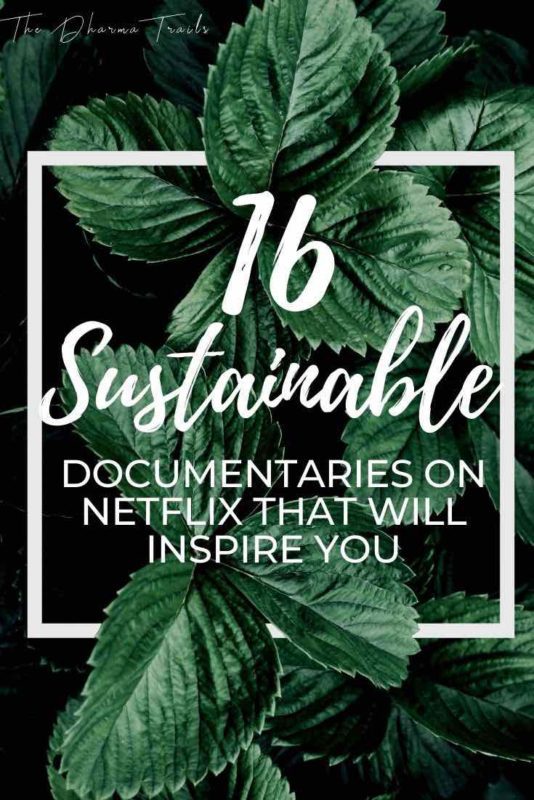 Leaves with text overlay 16 Sustainable Documentaries on netflix that will inspire you