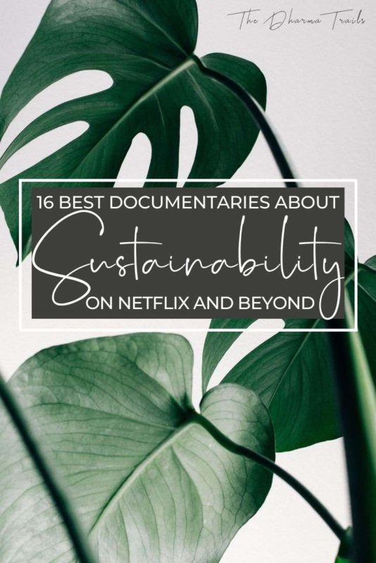 palm leaves with text overlay 16 best documentaries about Sustainability on Netflix