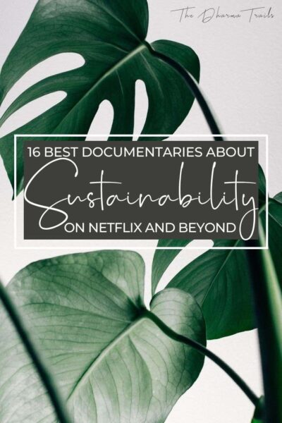 16 Best Sustainable Documentaries On Netflix 2024