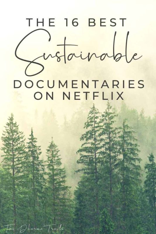 Forest with text overlay 16 best documentaries on netflix