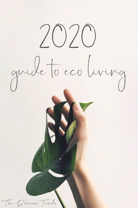 2020 guide to eco living