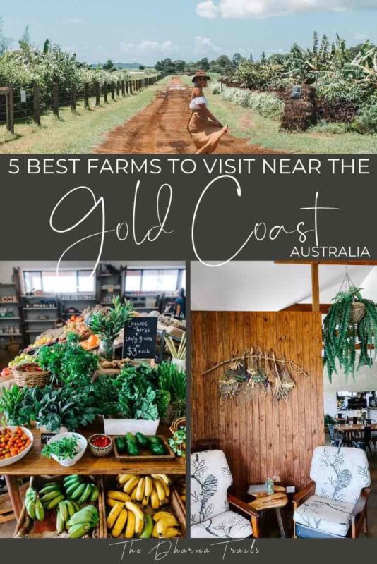 farm produce and cafe with text overlay 5 best farms to visit near the gold coast
