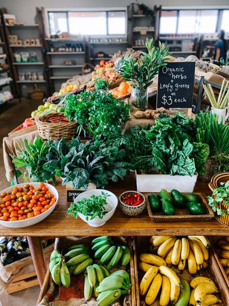 Fresh vegetables and fruit at Farm and Co market stall