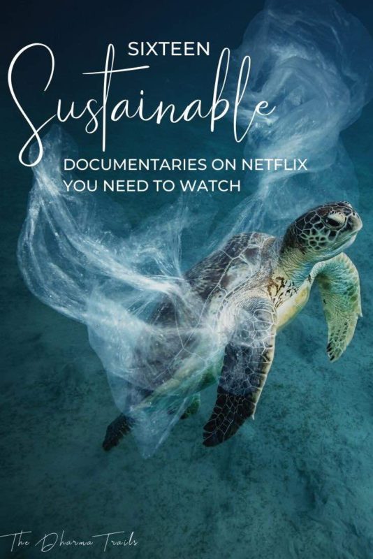 turtle wrapped in plastic with text overlay sixteen sustainable documentaries on netflix you need to watch