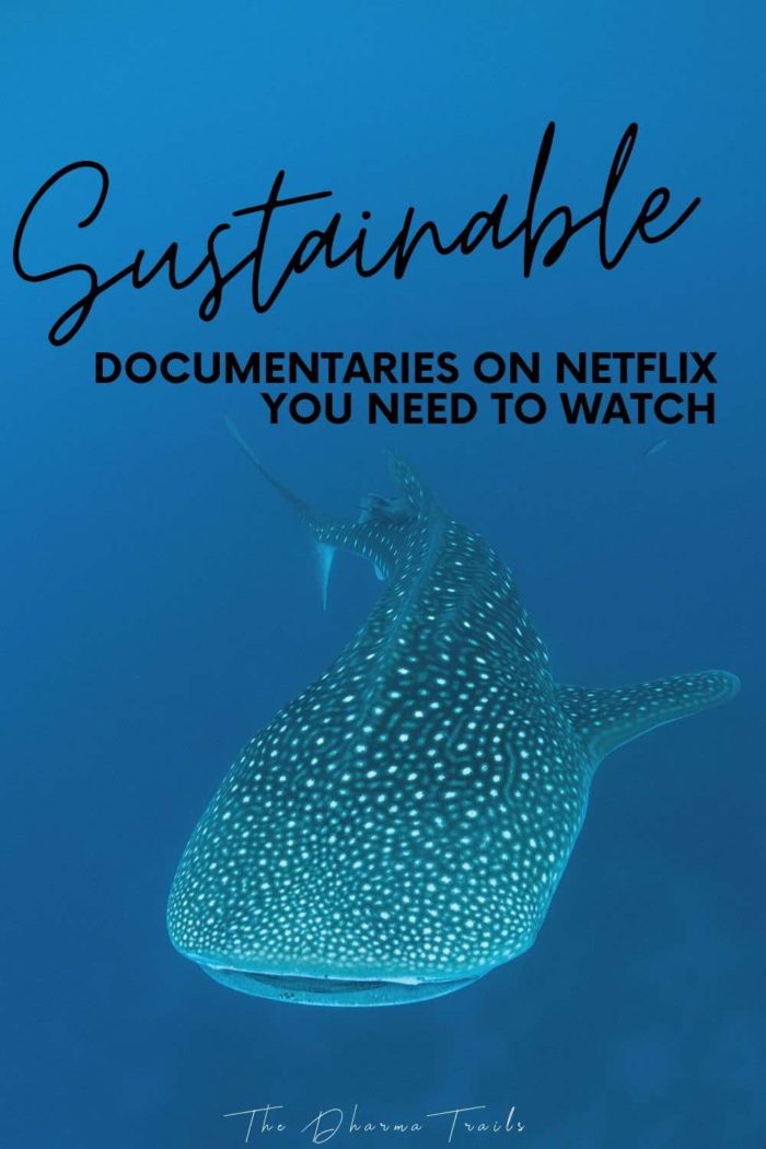 16 Best Sustainable Documentaries On Netflix 2024