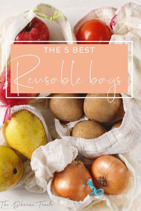 reusable bags with text overlay the 5 best reusable grocery bags