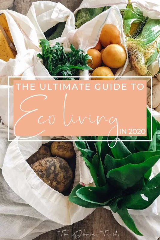 the ultimate guide to eco living in 2020