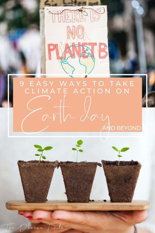 seedlings with text overlay 9 easy ways to take climate action on earth day and beyond