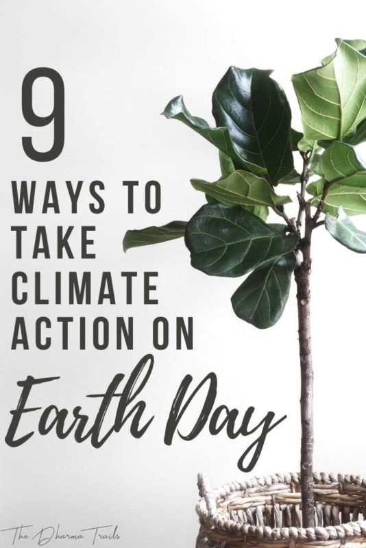 fiddle leaf fig with text overlay 9 ways to take climate action on earth day