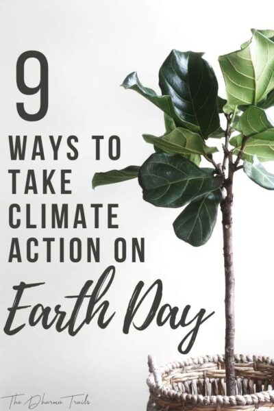 Earth Day 2024: 10 Easy Ways To Take Climate Action
