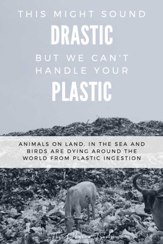 21 Anti Plastic Slogans with Free Posters | 2023