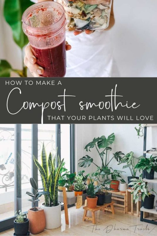 compost smoothie and plants