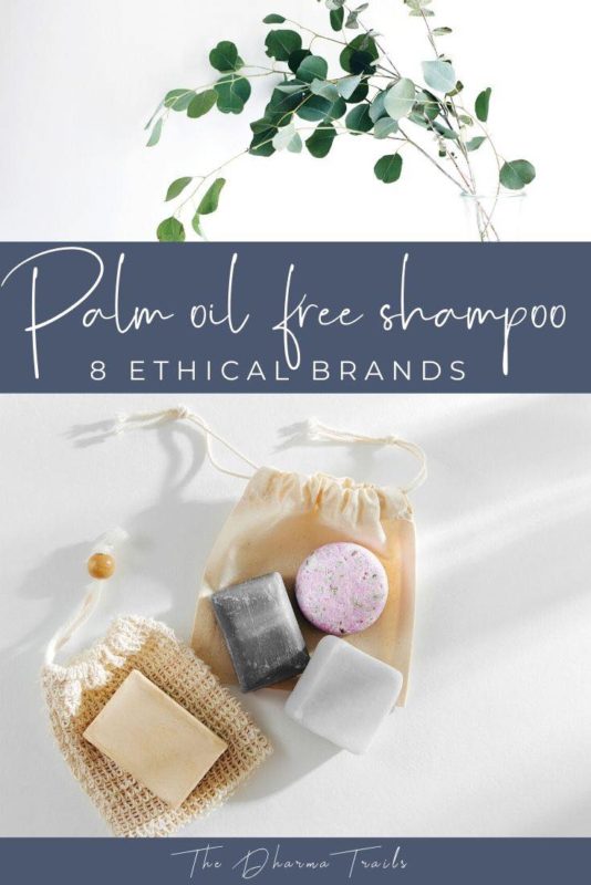 palm oil free shampoo 8 ethical brands
