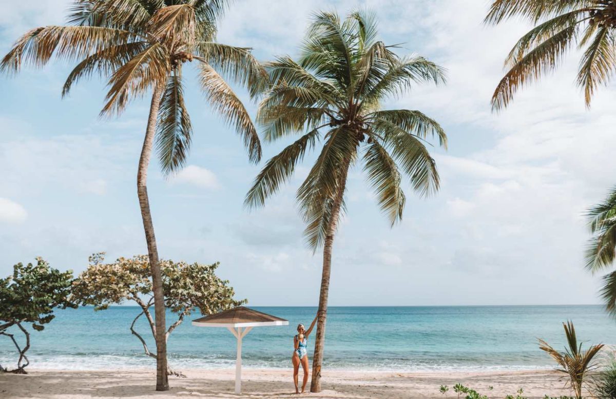 Magazine Beach in Grenada with Palm Trees and beach umbrella